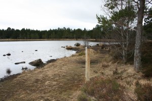 Cairngorm mountain - more info shot